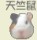 �Ѫǹ��}�i���� ��¦�g
